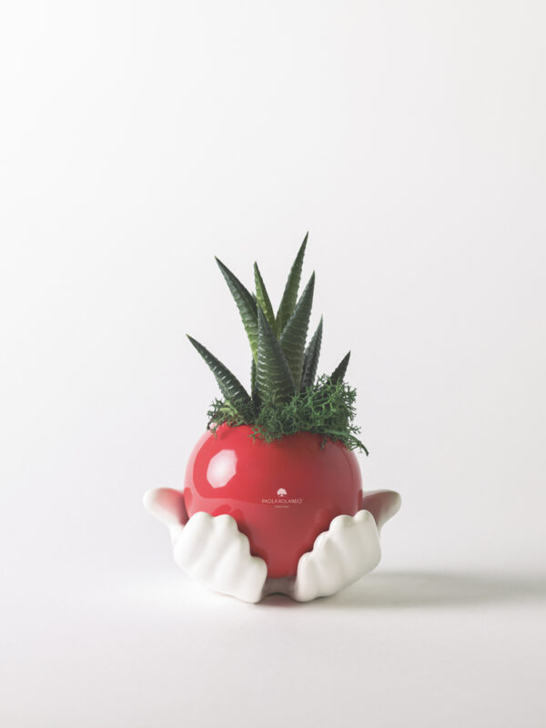Pianta grassa in sfera tra le mani di ceramica - Margi