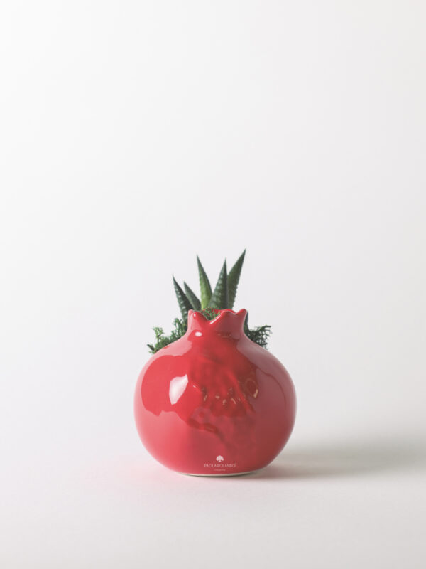 Pianta grassa in melograno di ceramica - Fortuna