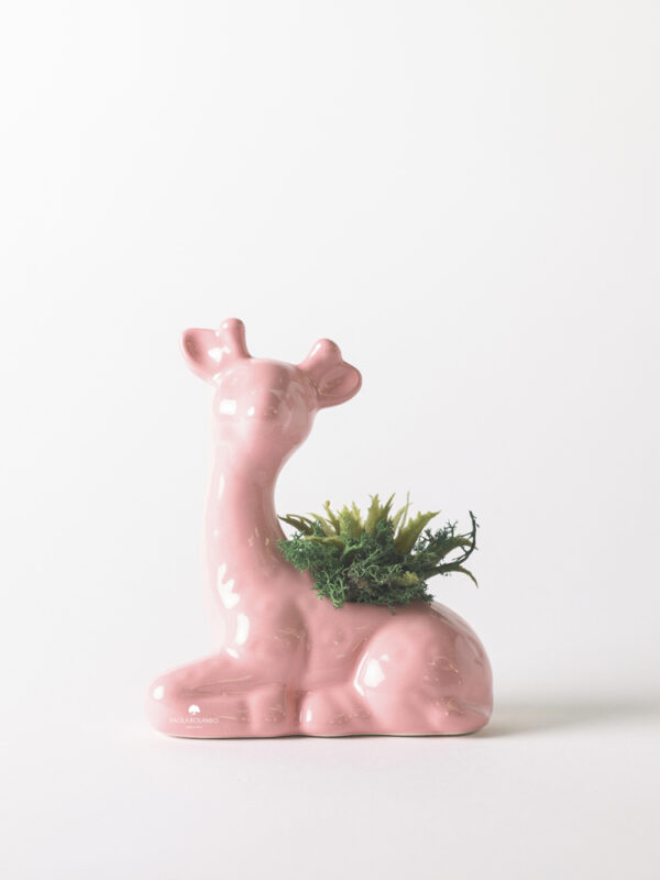 Pianta grassa in giraffa di ceramica - Animaletti