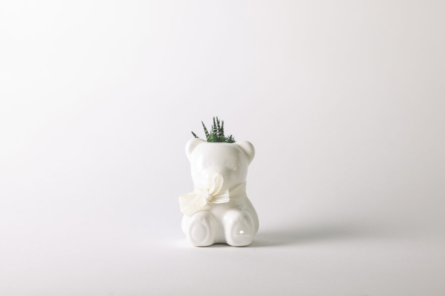 Pianta grassa in vaso orsetto di ceramica