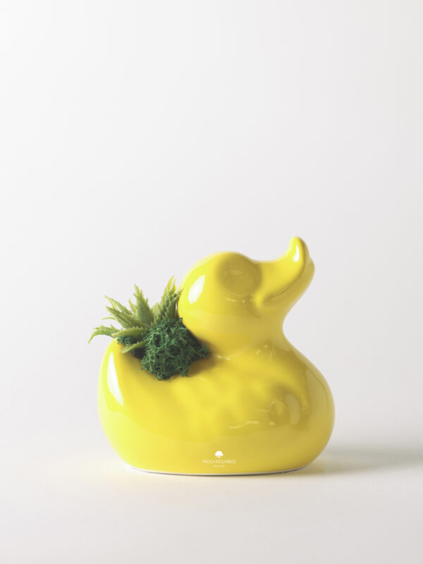 Pianta grassa in duck di ceramica - Animaletti