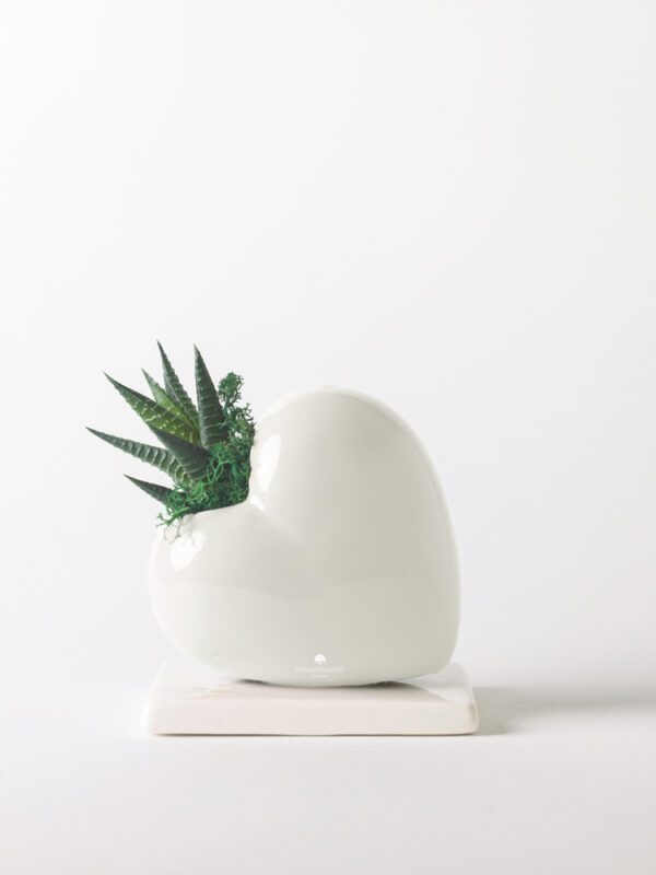 Pianta grassa in cuoricino inclinato di ceramica - Cuoricini