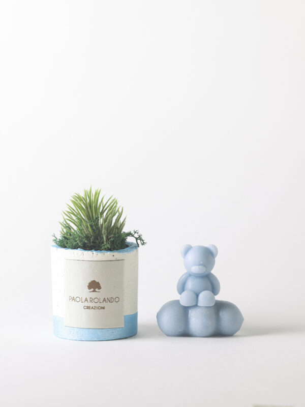 Kit pianta grassa in vasetto di cemento + candela con nuvoletta e orsetto