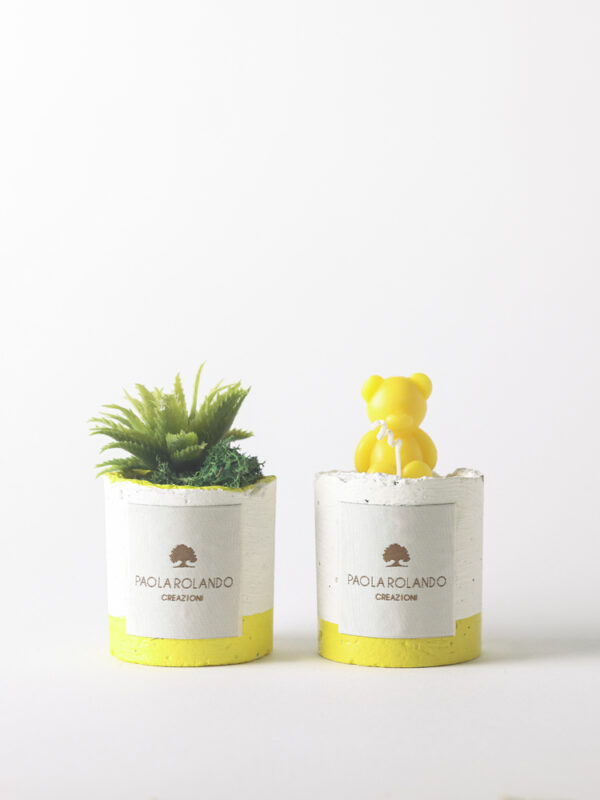 Kit pianta grassa in vasetto di cemento + candela con orsetto