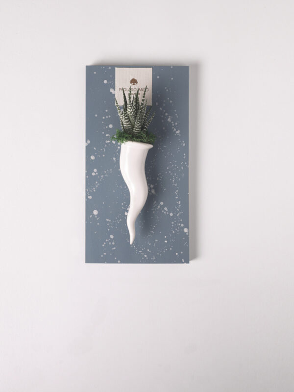 Pianta grassa in cornetto singolo di ceramica su quadro schizzato - Simone