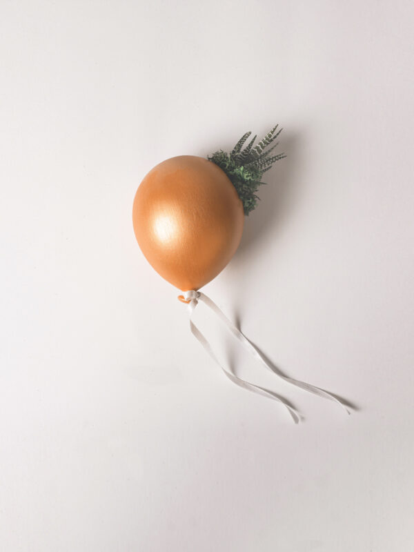 Pianta grassa in palloncino da parete di ceramica - Palloncino