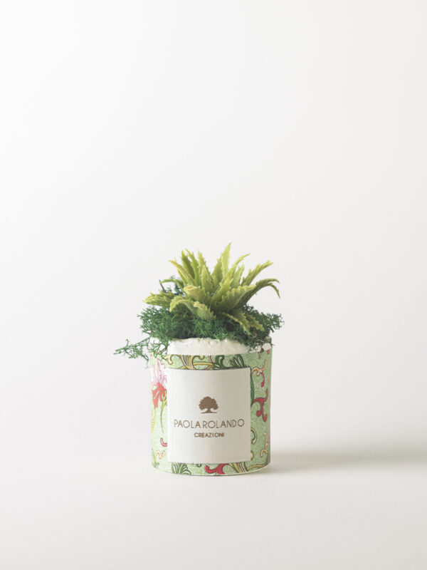 Pianta grassa in vaso decorato "Travel lover" - Limited Edition