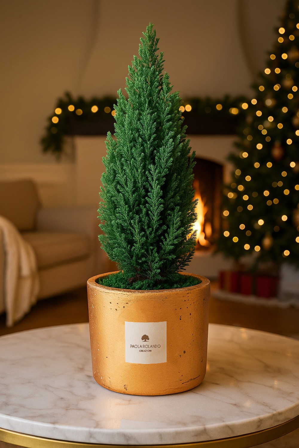 Pinetto in vaso decorato Elios