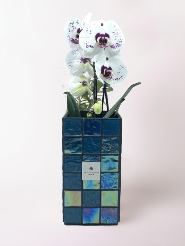 Vaso Bricks Blue