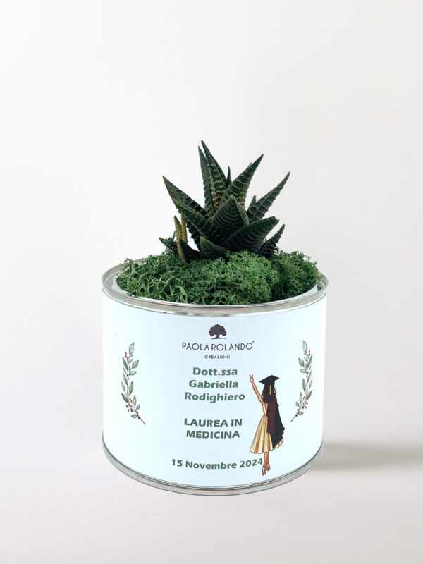 Pianta grassa in vaso Tin Small Laurea "Girl"