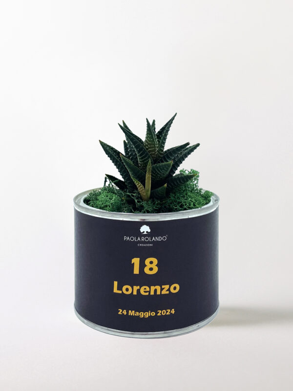 Pianta grassa in vaso Tin Small 18th Birthday Black
