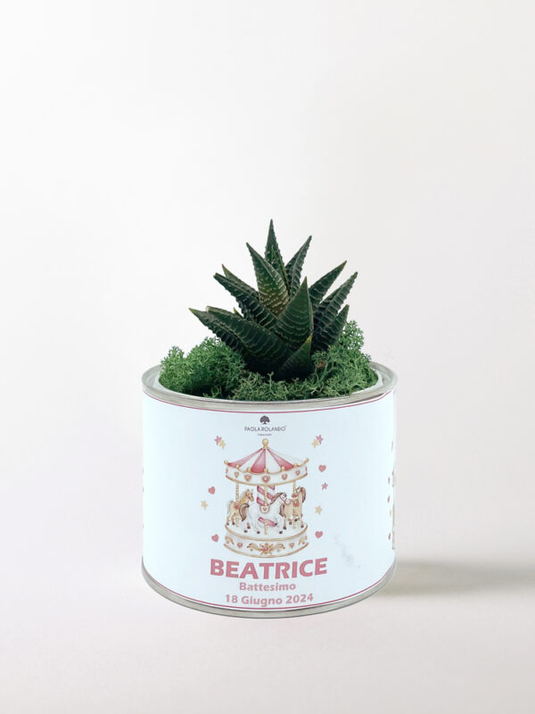 Pianta grassa in vaso Tin Small Baby "Girl"