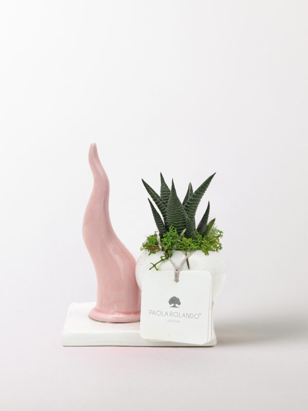 Pianta grassa in vaso con corno alto - Partenope