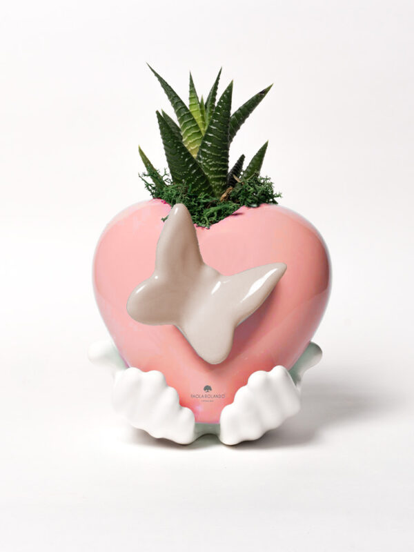 Pianta grassa in cuore Margi con decoro farfalla