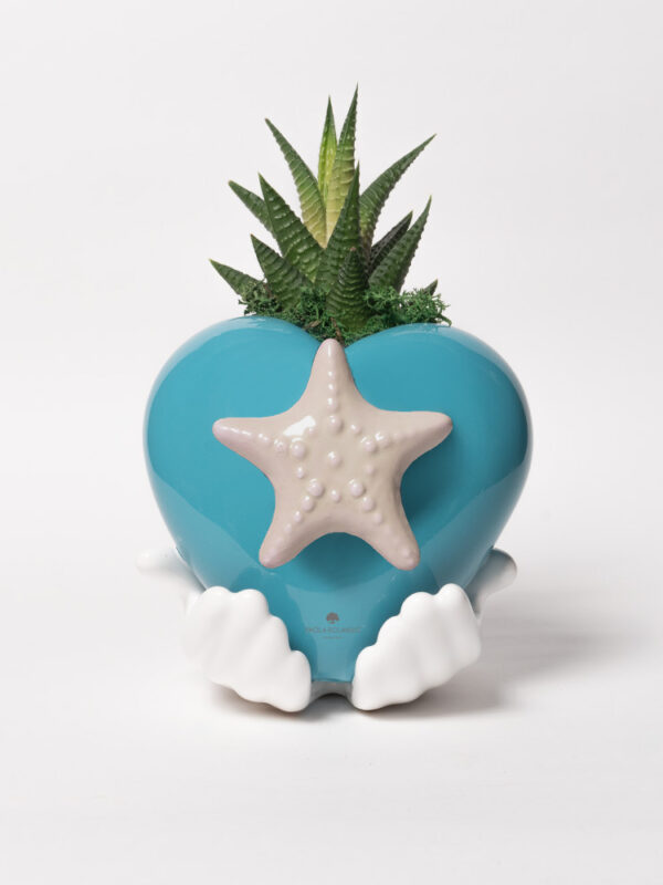 Pianta grassa in cuore Margi con decoro stella marina