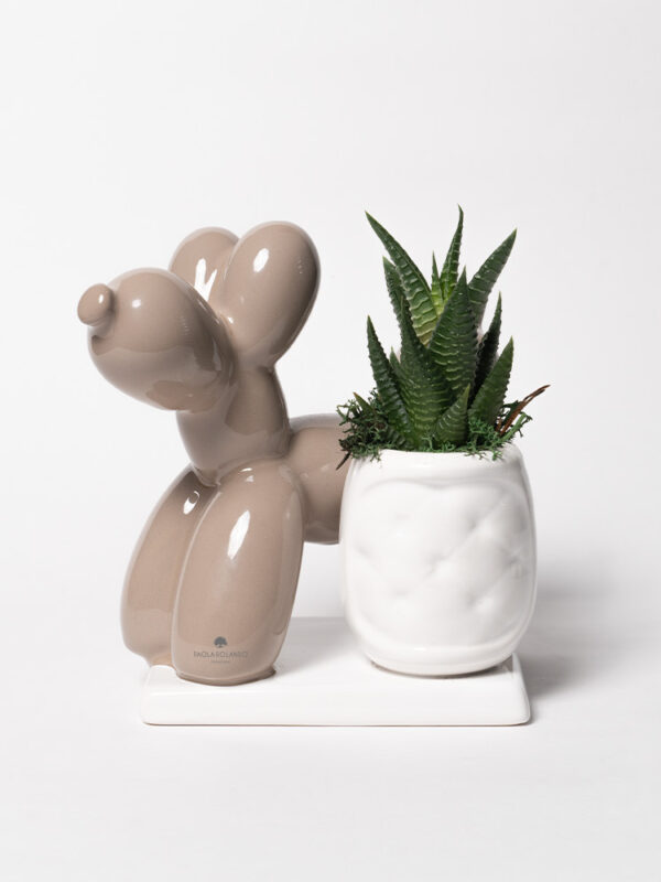 Pianta grassa in vasetto con dog palloncino su base