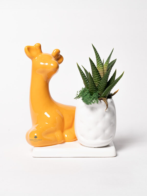 Pianta grassa in vasetto con giraffa su base