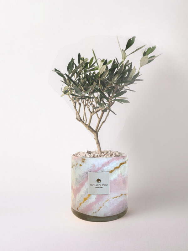 Olivo in cilindro di vetro decorato Marble