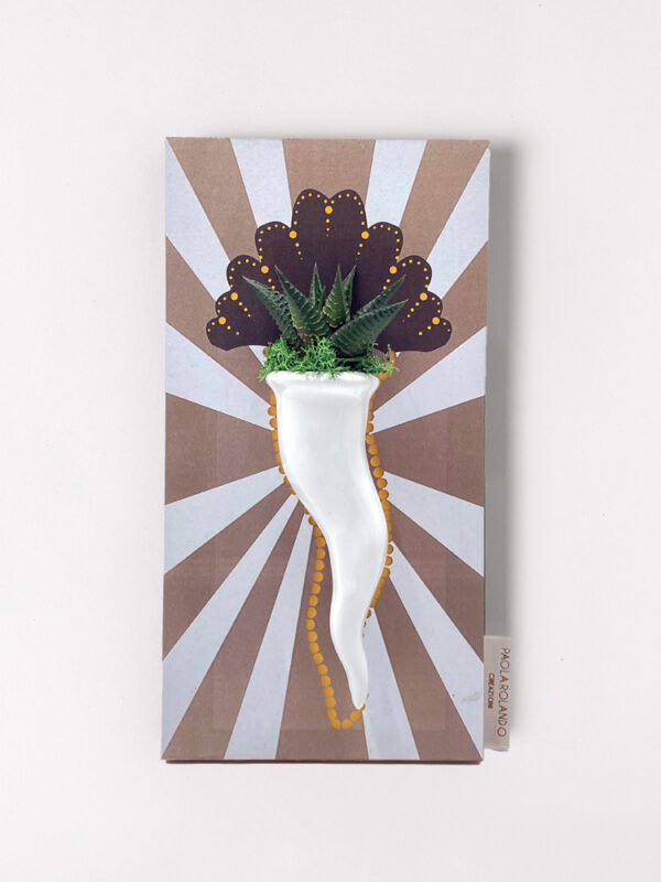 Pianta grassa in cornetto singolo di ceramica su quadro decorato radiale 27x14