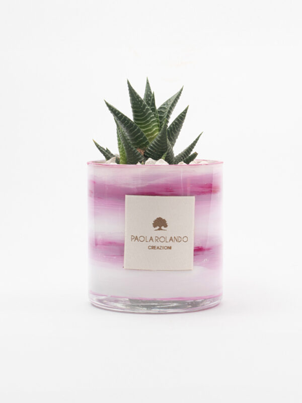 Pianta grassa v.12 in vaso cilindro in vetro decorato h.10 d.10 Marble