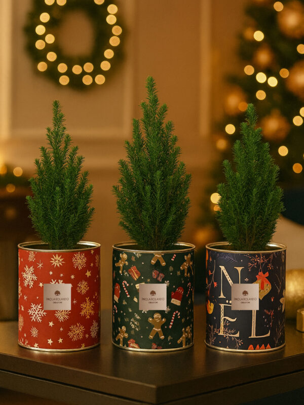 Pinetto Ellwoodii v.10 in vaso di latta decorato h.13 d.10 Christmas